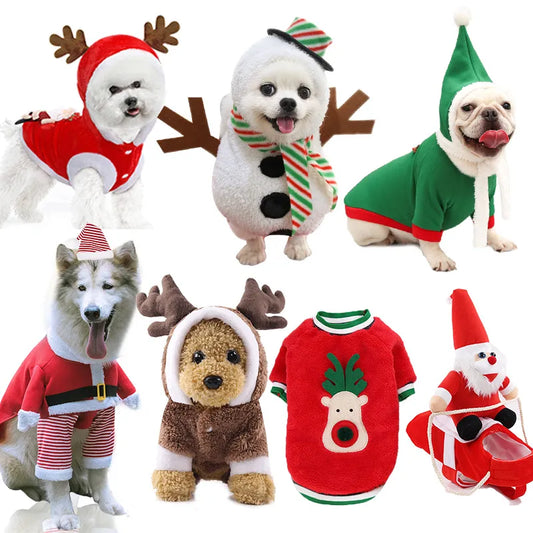 Cartoon Dog Clothes Halloween Costumes Dogs Small, Medium and Big Dog Christmas Pet Clothes Funny Autumn and Winter Clothes