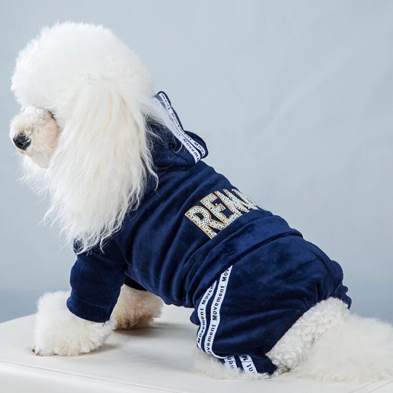 Fashion Letter Pet Dog Clothes for Dogs Coat Hoodie Sweatshirt Four Seasons Dog Clothing Cartoon Pets Clothing Bodysuit