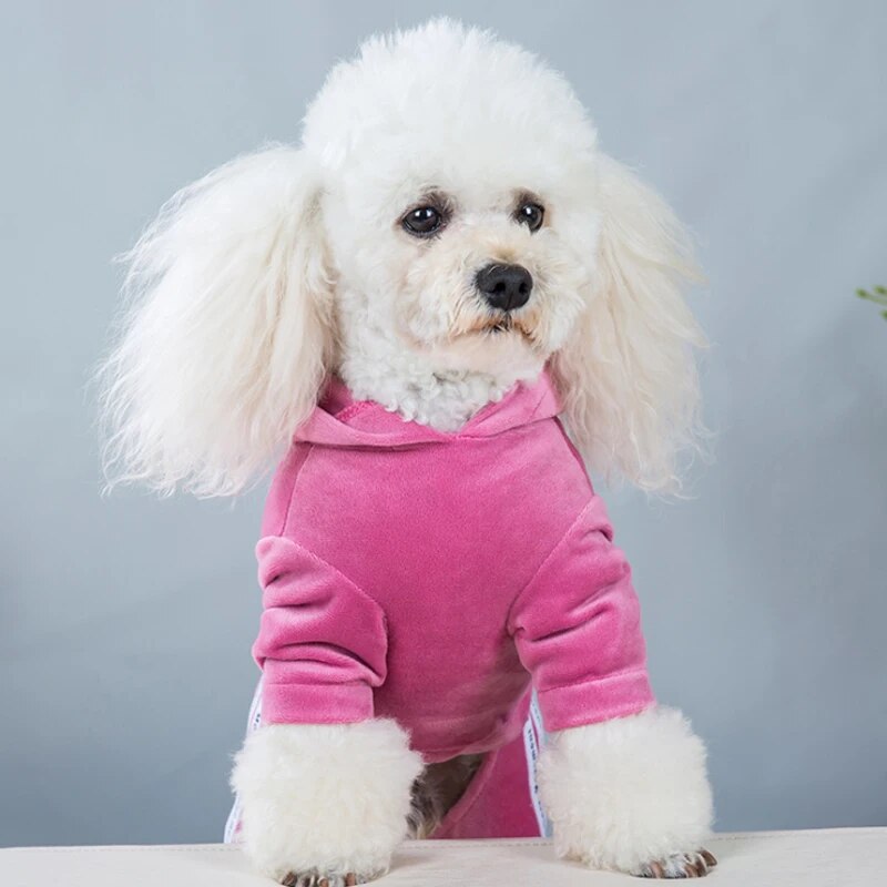 Fashion Letter Pet Dog Clothes for Dogs Coat Hoodie Sweatshirt Four Seasons Dog Clothing Cartoon Pets Clothing Bodysuit
