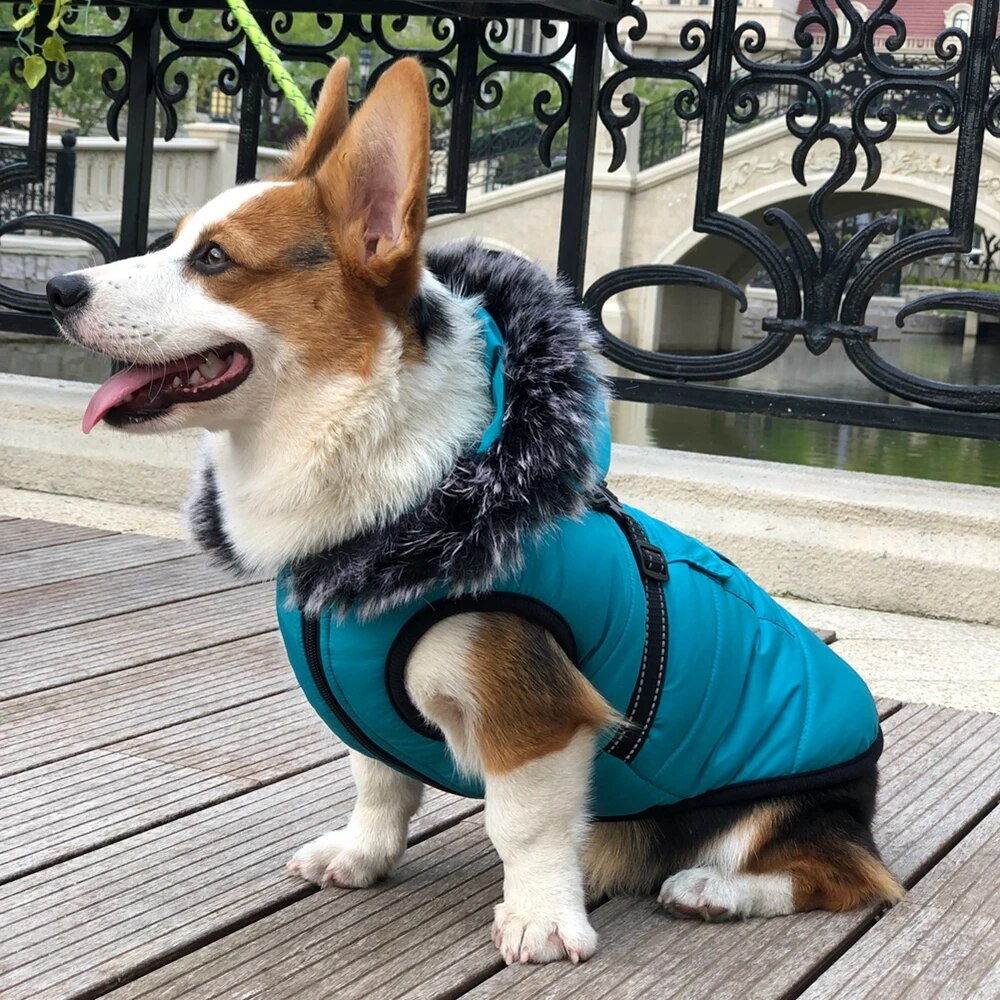 Waterproof Winter Pet Dog Clothes With Harness Reflective Dog Jacket Coat for Small Medium Dogs Chihuahua Yorkshire Pet Clothing