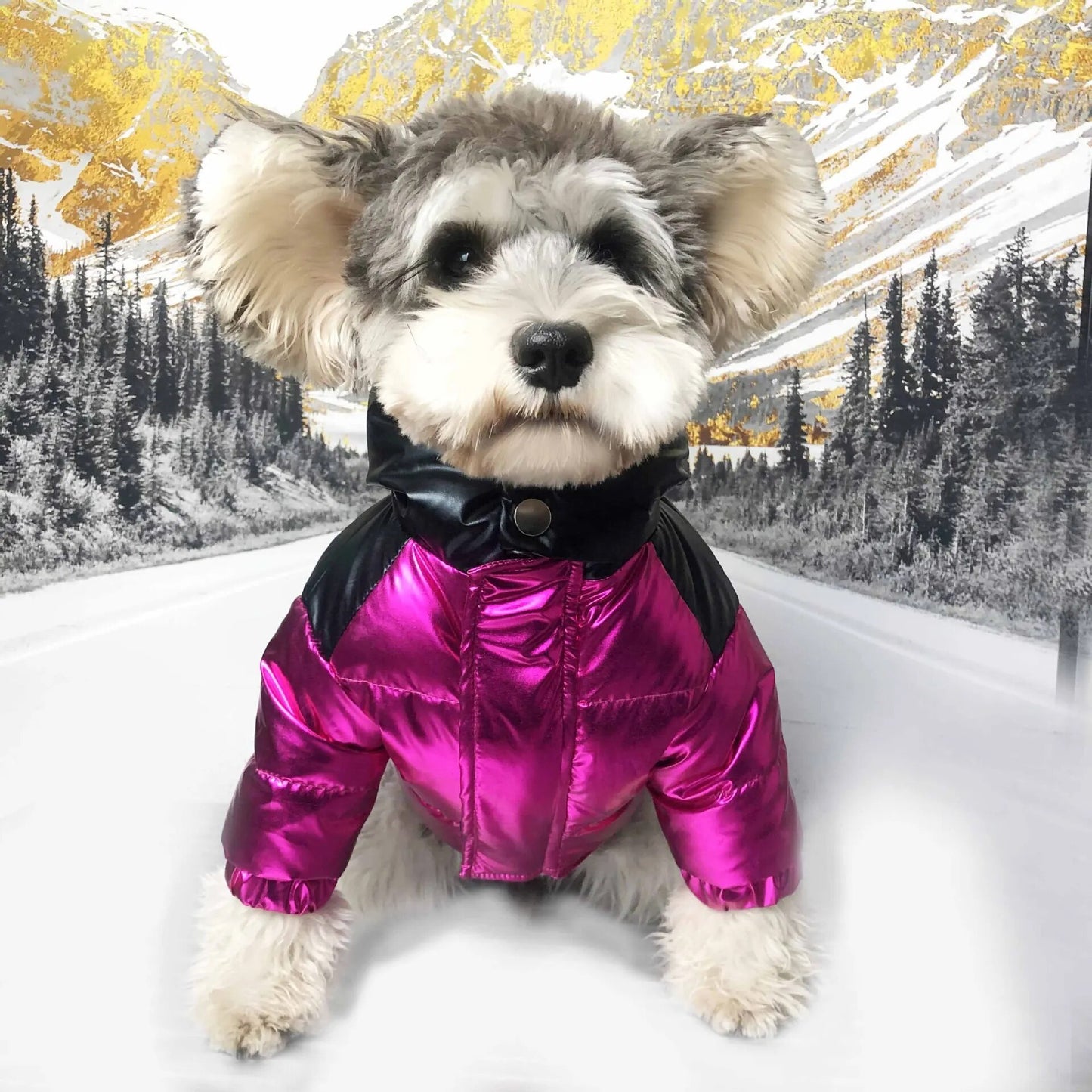 Luxury Designer Pet Dog Parkas Clothes for Small Dogs Down Jacket Winter Coat Medium Dog Costume Puppy Clothing Schnauzer Pugs