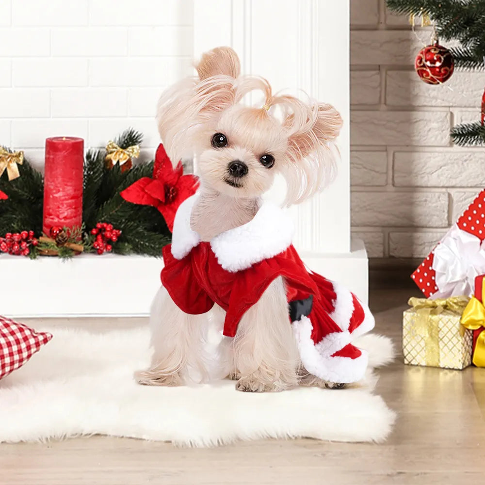 Christmas Dog Dresses For Small Dogs Clothes Summer Christmas Cosplay Cat Pet Dog Dress Fancy Princess Puppy Dress