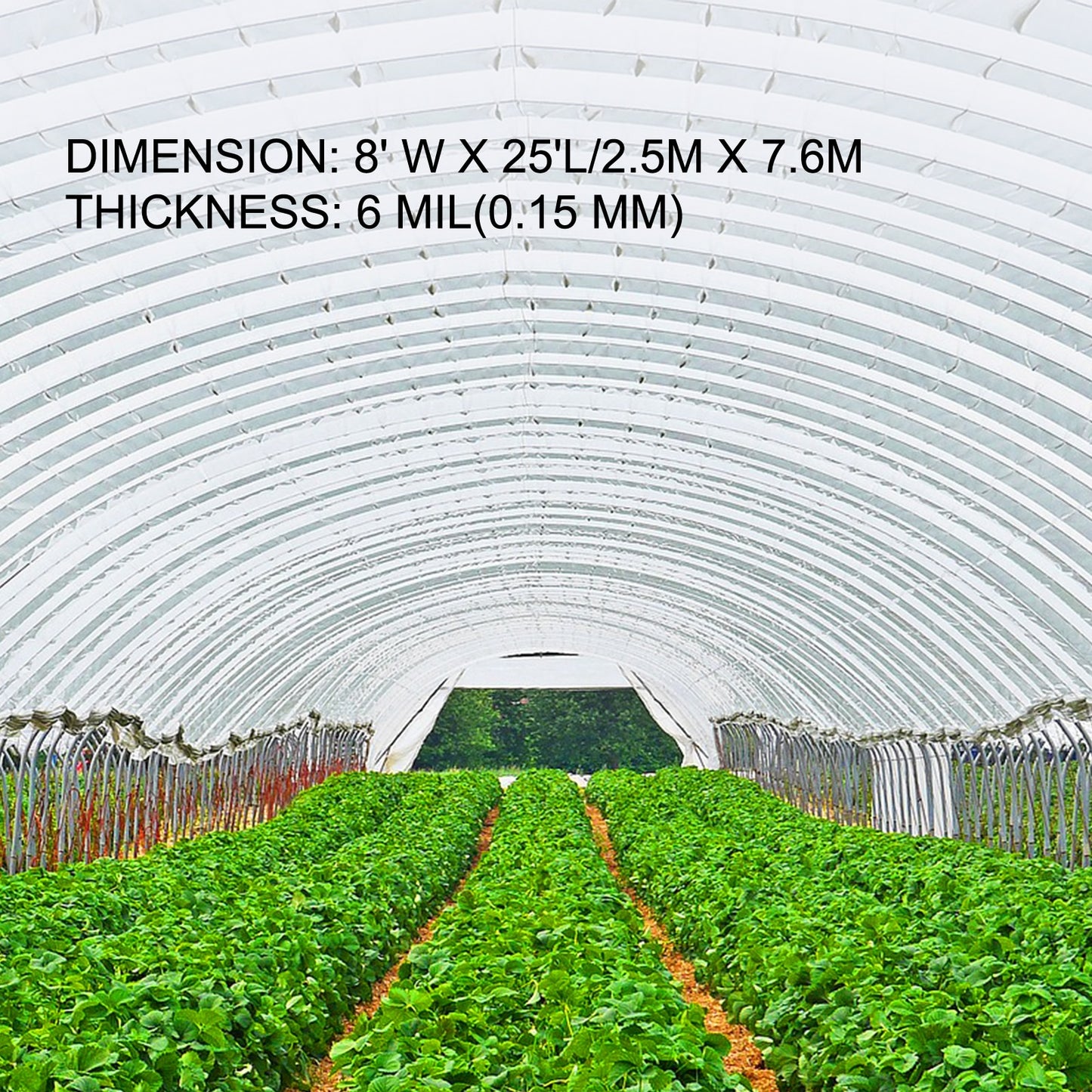 VEVOR Agricultural Greenhouse Film Clear Plastic Farm Crops Vegetable Cover UV Resistant Polyethylene Covering Plants Flowers - youronestopstore23