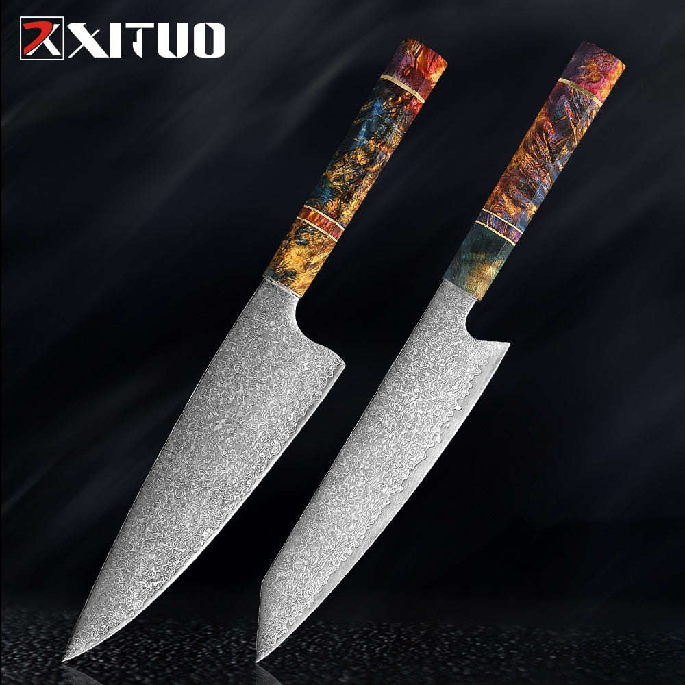 XITUO Damascus Kitchen Knife Set Chef Nakiri Knife 67 Layers Japanese Damascus Steel Chef Knife Razor Sharp Blade Colorful Wood - youronestopstore23