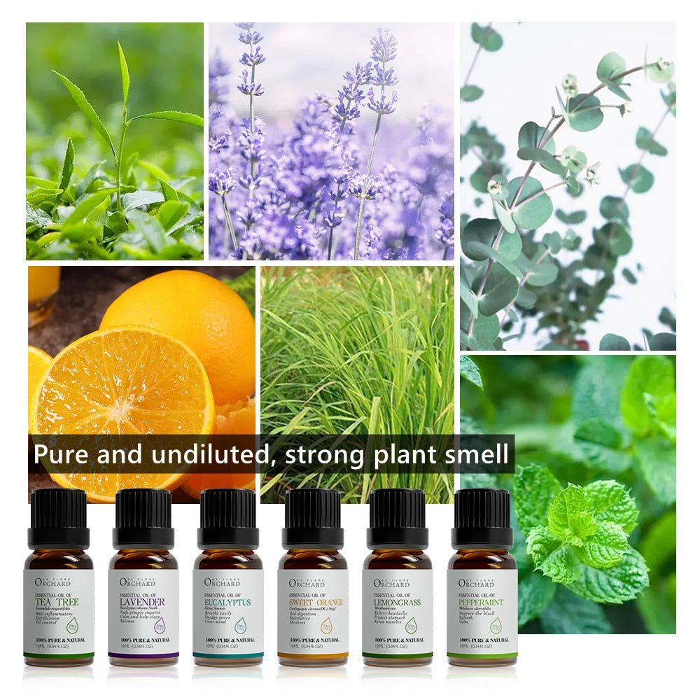 Pure Essential Oils For Humidifier 10ml Anxiety Relief Essential Oils Set Mental Health Fragrance Aroma Diffuser Oil - youronestopstore23