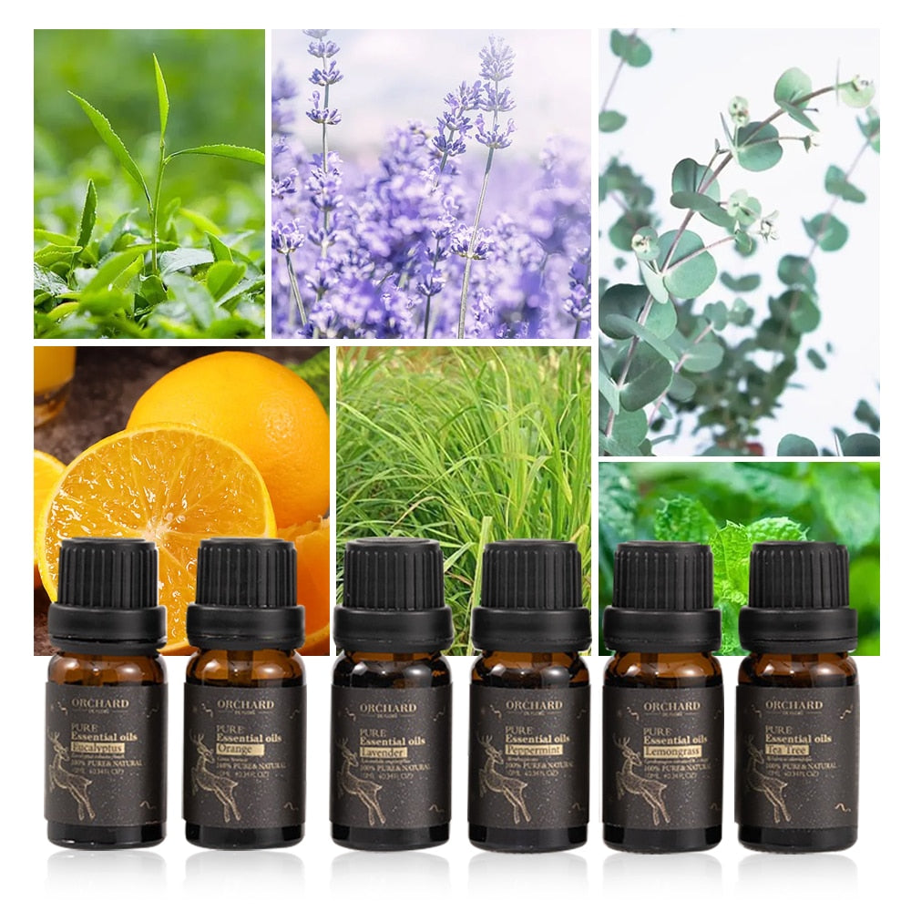 Orchard Christmas Essential Oil Pure Lavender Eucalyptus Tea Tree Essential Oils For Humidifier Fragrance Oil For Candle Making - youronestopstore23