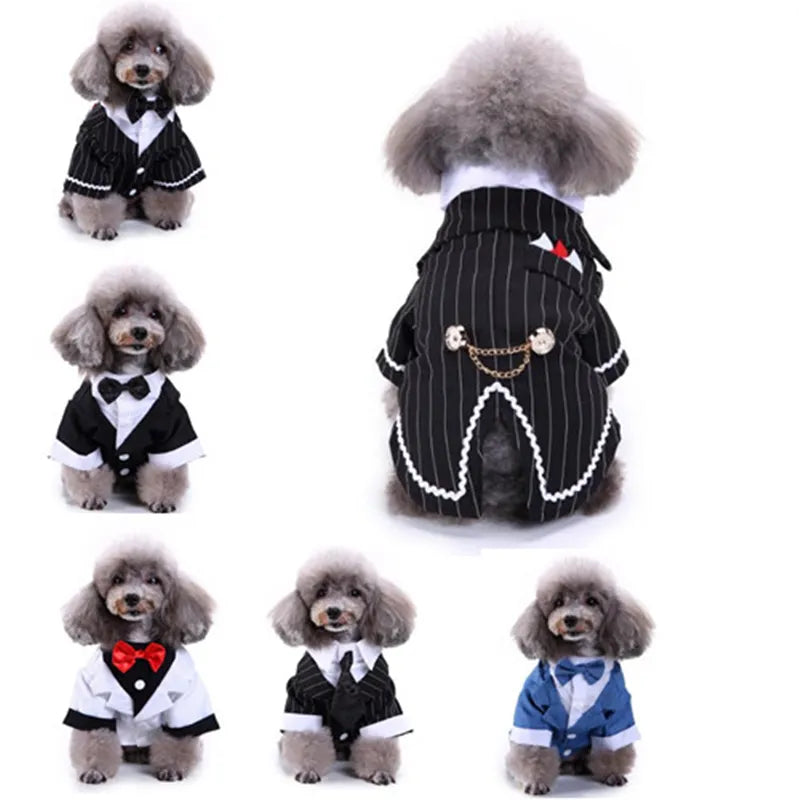 Gentleman Dog Clothes Dog Wedding Outfit Cute Tailcoat Pet Suit Striped Dog Tuxedo Bow Tie French Bulldog Halloween Costume